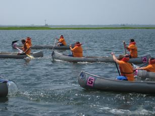 The races in full motion